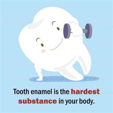 Fun Dental Facts for Kids: Tooth Fairies, Bad Breath, and More