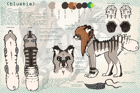 fursona reference sheet by freckledoe on DeviantArt