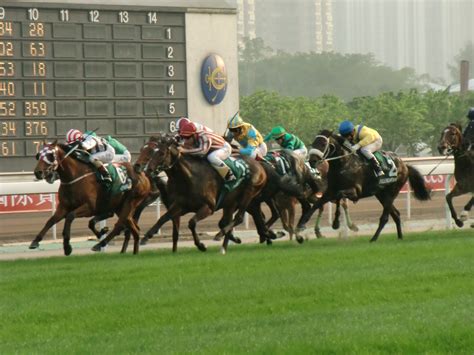 Hong Kong the best Hong Kong horse races