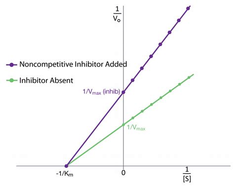 4.10: Enzyme Inhibition - Biology LibreTexts