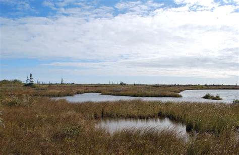 How climate change is impacting the Hudson Bay Lowlands — Canada's ...