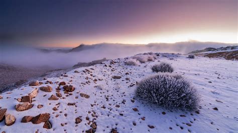 Trojena: The mountains of NEOM