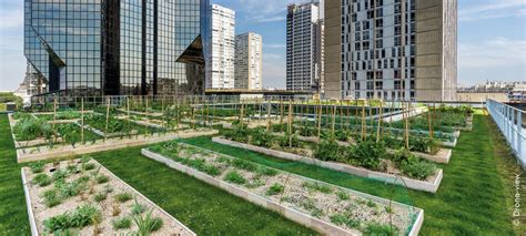 Urban Rooftop Farming | ZinCo Green Roof Systems