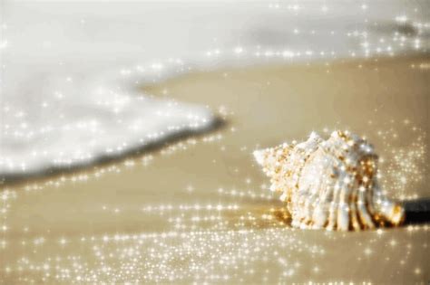 Seashell gif by NewBeginnings2 | Photobucket