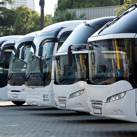 How long is a bus? - Group Transport Australia