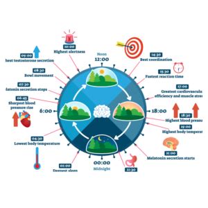 Circadian Rhythm – Challenge Physio