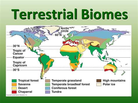 What is Biomes: Definition, Types, Classification of Biomes - Eschool