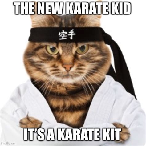 Karate cat - Imgflip