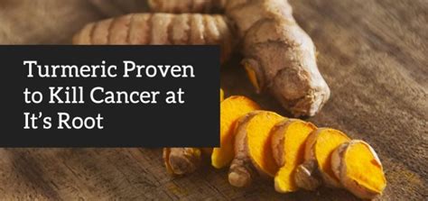 Turmeric at the Root of Preventing & Killing Cancer (New Research ...