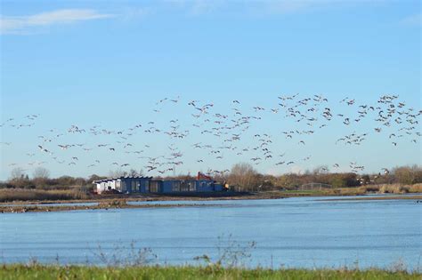 RSPB Frampton Marsh enjoys £800k makeover with new 50-seater cafe