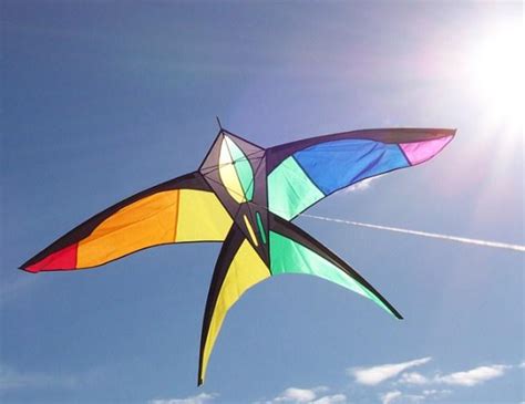 Unique kites