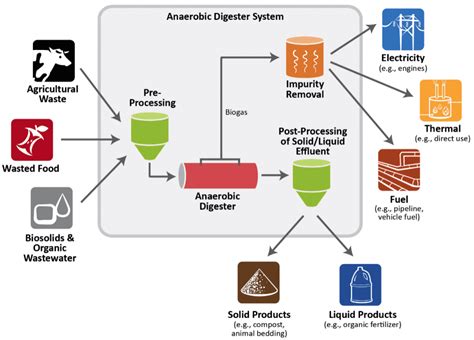 Trends in the Anaerobic Digestion of Food Waste | Rubicon