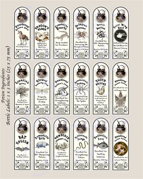 Wizard Labels Potion Ingredient Labels Bottle Labels in 3 - Etsy | Harry potter potion labels ...