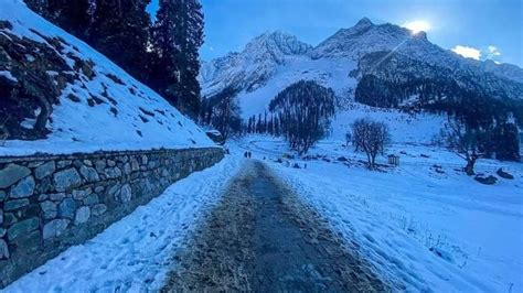 Kashmir Snowfall: Mesmerising Images Of The White-Covered Valley