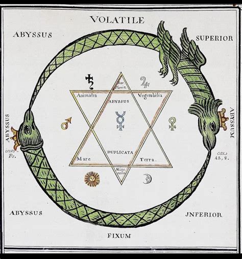 The Ouroboros of alchemy 🐍 : r/alchemy