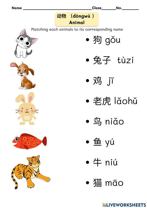 动物 Animal worksheet | Chinese lessons, Mandarin chinese learning, Learn chinese