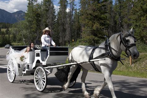 Horse-drawn carriage ride to the reception ~ Rustic mountain wedding Horse Drawn, Mountain ...