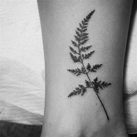 Wee fern today. #dotwork #blackwork #ferntattoo #ankletattoo # ...