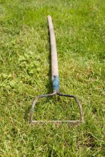 Digging Tools for Hard Ground | Garden Guides