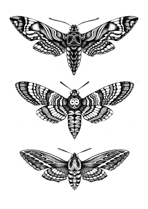 Hummingbird Moth Tattoo - Printable Calendars AT A GLANCE