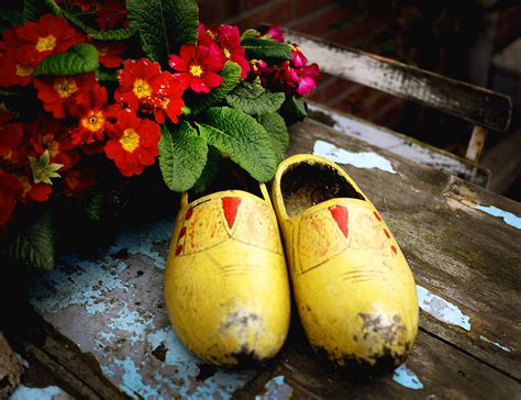 Yellow Dutch Clogs Photograph by Kelsey Horne - Fine Art America