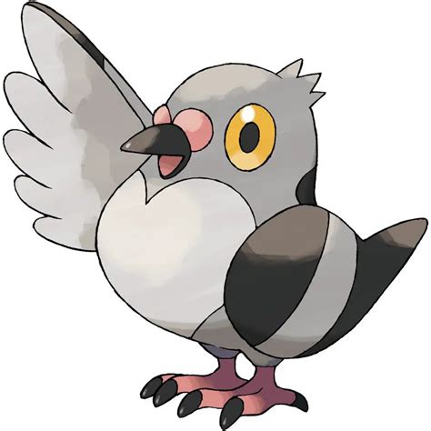 55 Fascinating Bird Pokemon For Bird-Lovers - My Otaku World