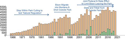 History of Bison Management in Yellowstone (U.S. National Park Service)