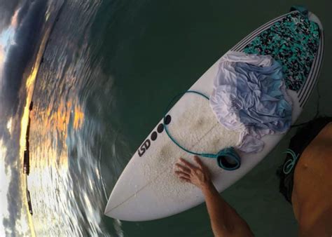 Thinking About Learning How to Surf? 3 Tips Before You Begin - 360Guide