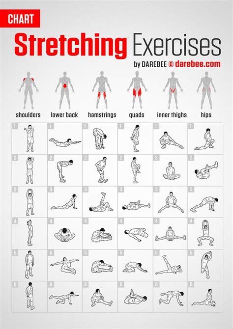 Stretching Exercises | Chart by DAREBEE #darebee #fitness #workout # ...