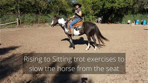 Trotting Exercises - rising trot and slowing the horse to a sitting trot with your seat - YouTube