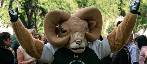 Which U.S. university has its state's animal as its mascot?