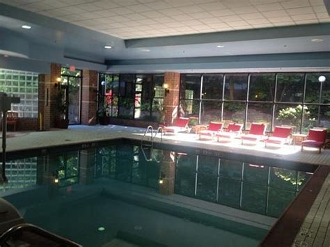 Trumbull Marriott Shelton Pool: Pictures & Reviews - Tripadvisor