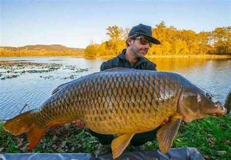 7 top big fish carp lakes in France