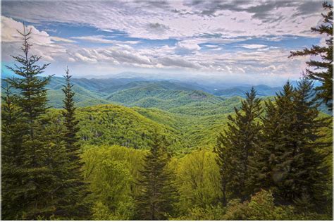 Expose Nature: Blue Ridge Parkway, NC (OC) [5459x3637]