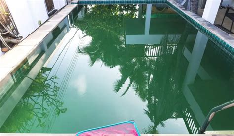 How To Clean A Green Pool: A Step-By-Step Guide - PoolsWiki