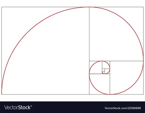 Fibonacci spiral golden ratio Royalty Free Vector Image