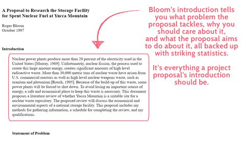 Project Proposal - Example Introduction | Project proposal template, Proposal templates, Project ...