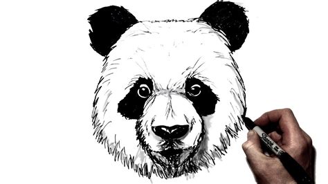 How To Draw A Realistic Panda Step By Step