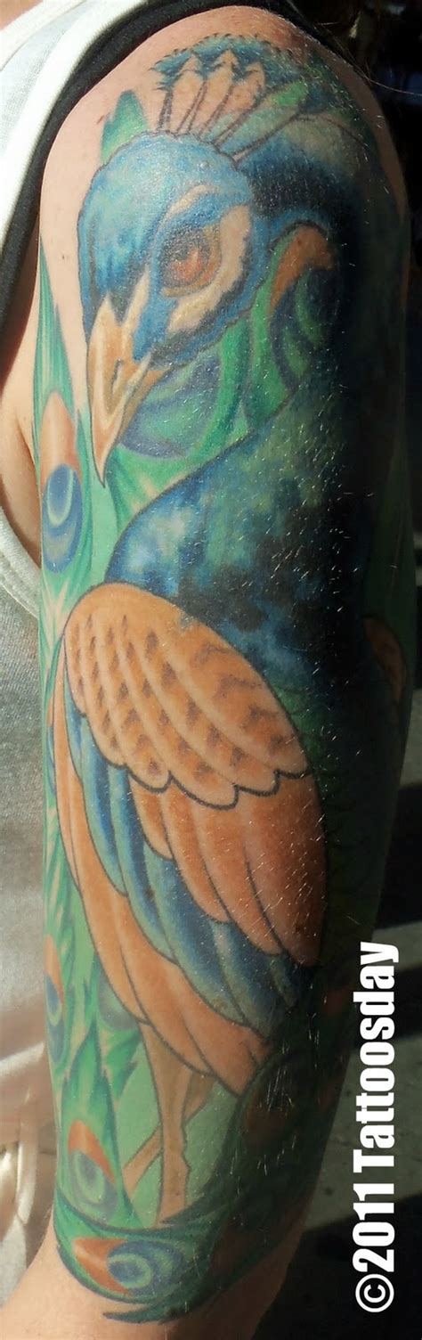 Tattoosday (A Tattoo Blog): Amy's Stunning Peacock Tattoo