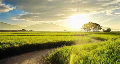 suasana pagi - Yahoo Image Search Results | Wedding photography album ...