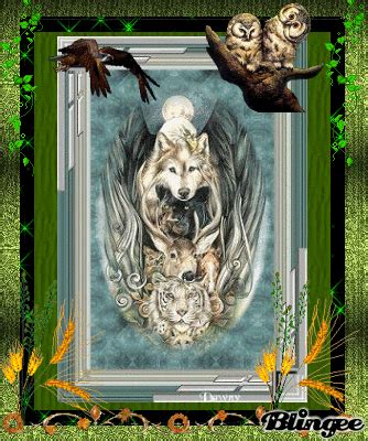 Animal totem [Video] | Animal totems, Totem, Magical wolf