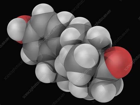 Estrone hormone molecule - Stock Image - F004/8439 - Science Photo Library