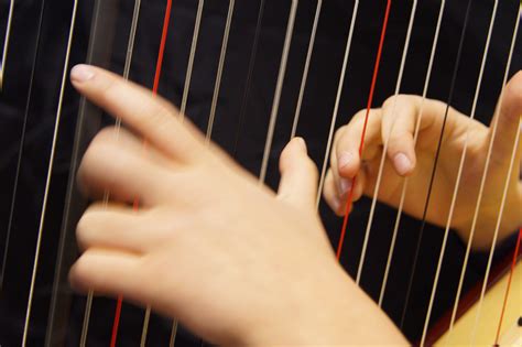 Free Images : hand, acoustic guitar, musical instrument, close up, harp, guitarist, bass guitar ...