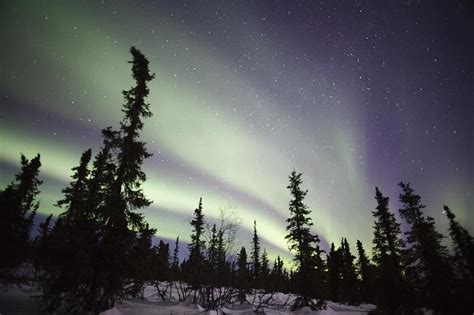 northern lights, sky, night, aurora, green, astronomy, atmosphere, aurora borealis, borealis ...