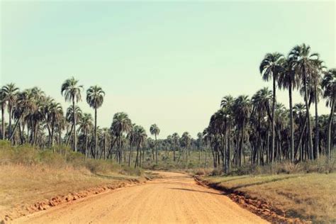 El Palmar National Park Pictures - Traveler Photos of El Palmar National Park, Province of Entre ...