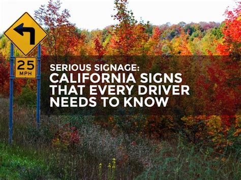 Serious Signage: California Road Signs Every Driver Should Know ...