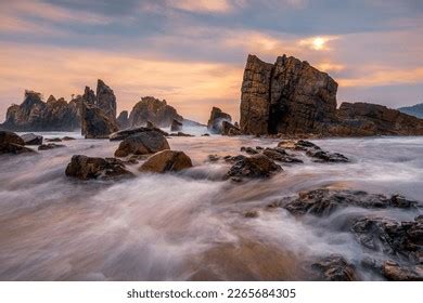 3,495 Shark Tooth On Beach Images, Stock Photos & Vectors | Shutterstock