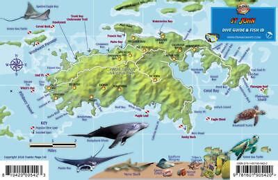 St. John USVI Dive Map Fish ID Virgin Islands Waterproof Fish Card Franko Maps | eBay