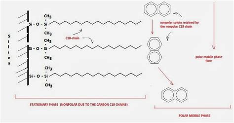 What is reversed phase liquid chromatography (LC) / HPLC? | Chemistry Net