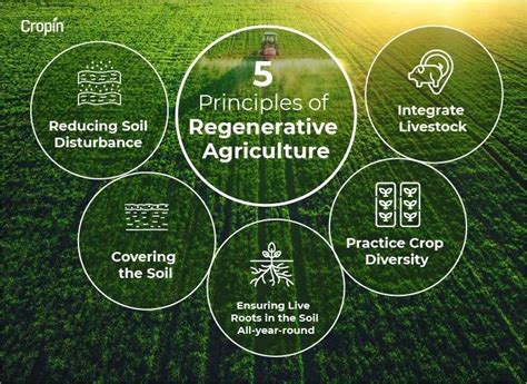 Regenerative Agriculture- Principles & Practices